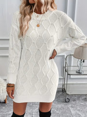 Kadın Uzun Kollu Bisiklet Yaka Desenli Triko Elbise