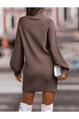 Kadın Uzun Kollu Balıkçı Yaka Mini Triko Elbise