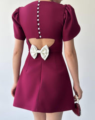 Alka İncili Fiyonk Detay Elbise