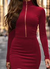 Kadın Uzun Kollu Balıkçı Yaka Yakadan Göğüse Kadar Fermuar Detaylı Mini Kadife Elbise